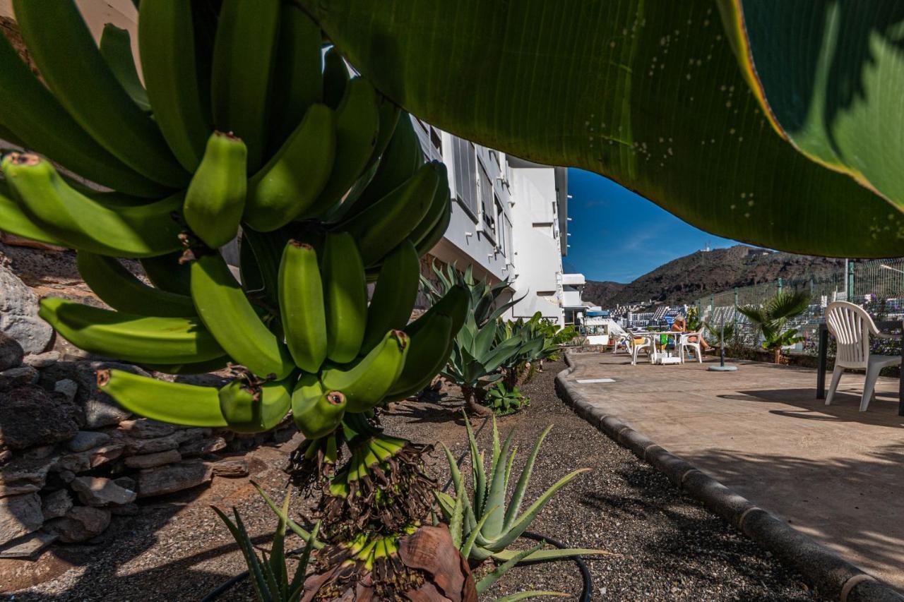 Your Happy Place Puerto Rico With Ac Exterior foto